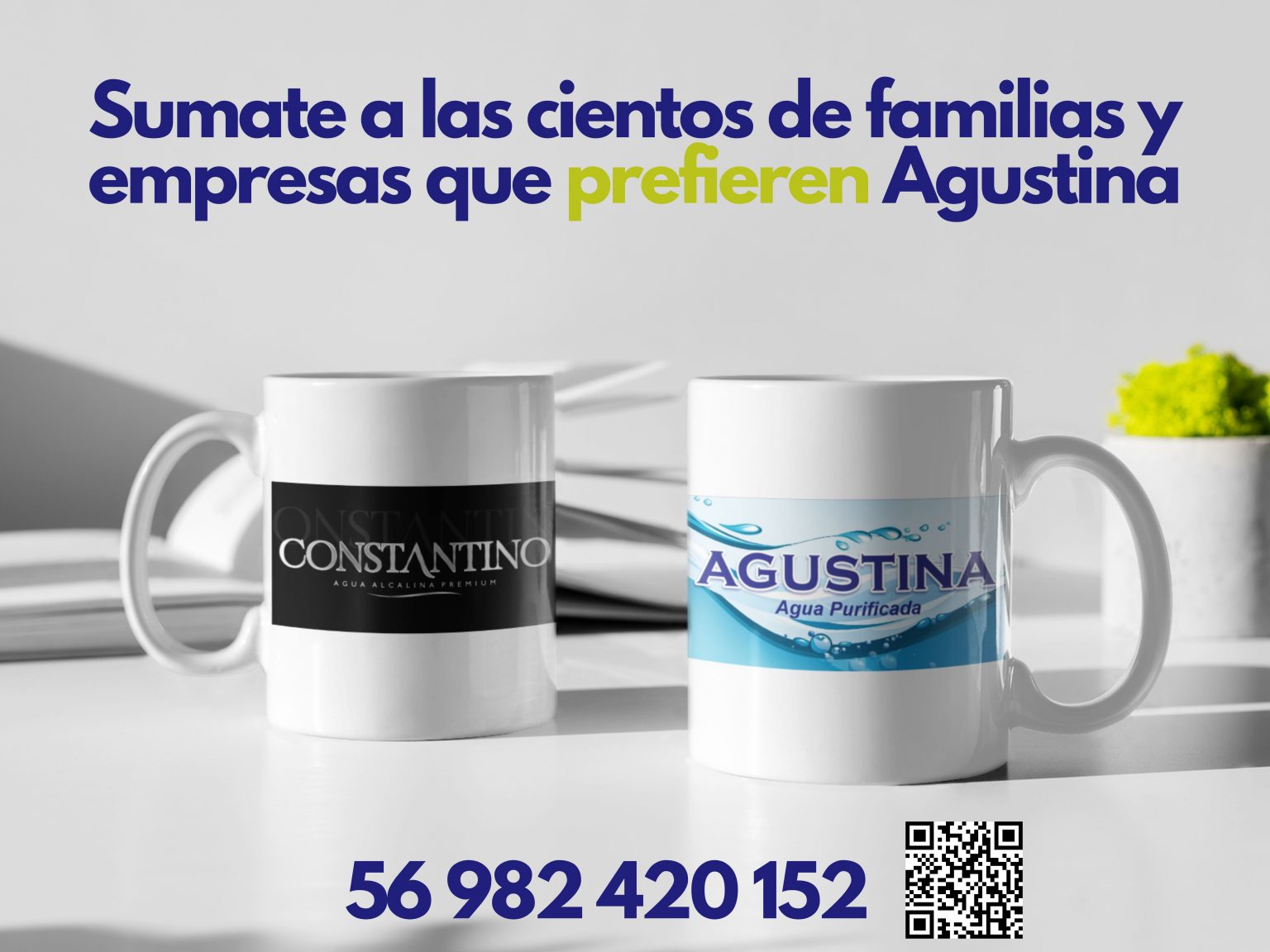 portada web (5)